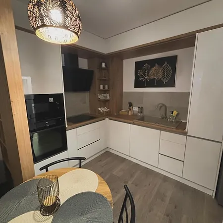 Alex Apartment Brasov